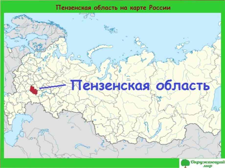 Регион 58 на номерах Пензенская область