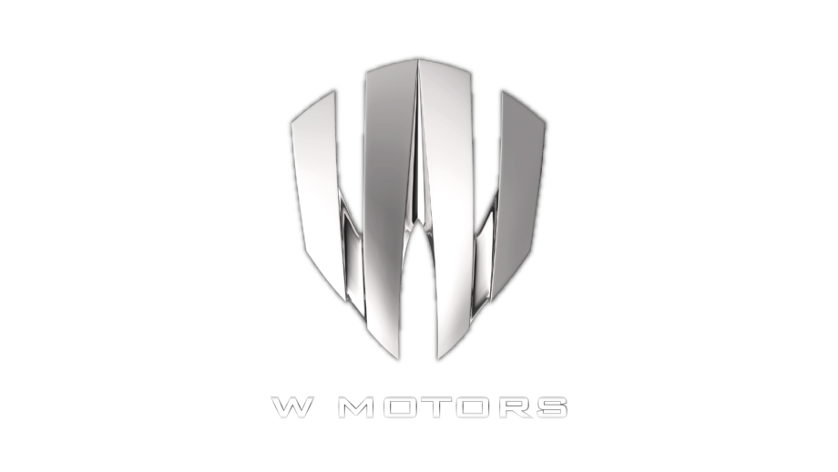 Логотип W Motors 
