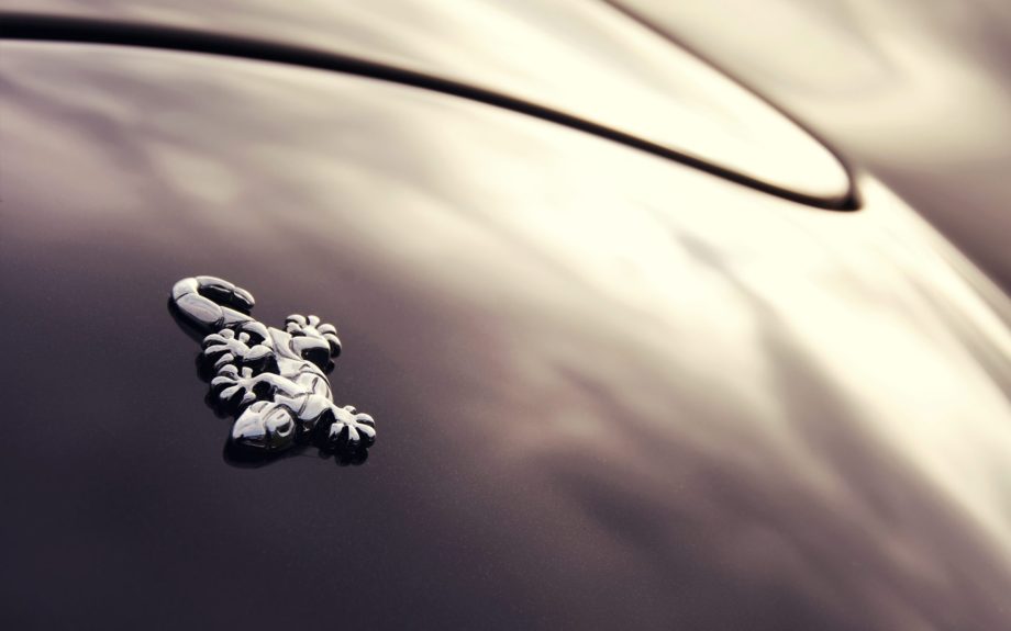 Символ Wiesmann